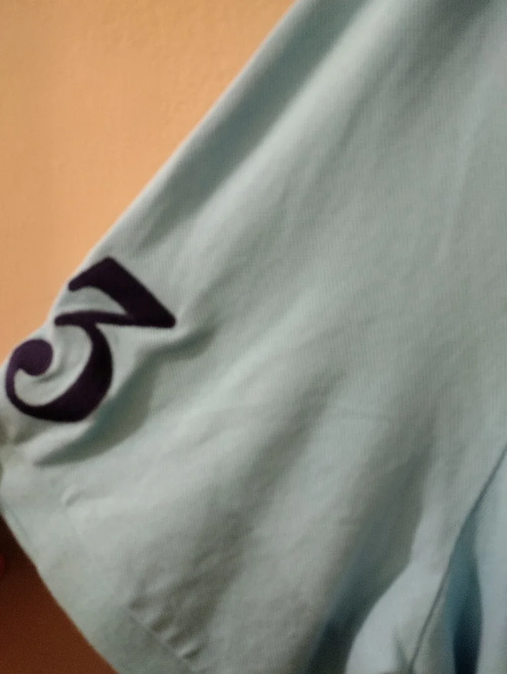 Ralph Lauren Polo Shirt in Light Blue with Navy Logo